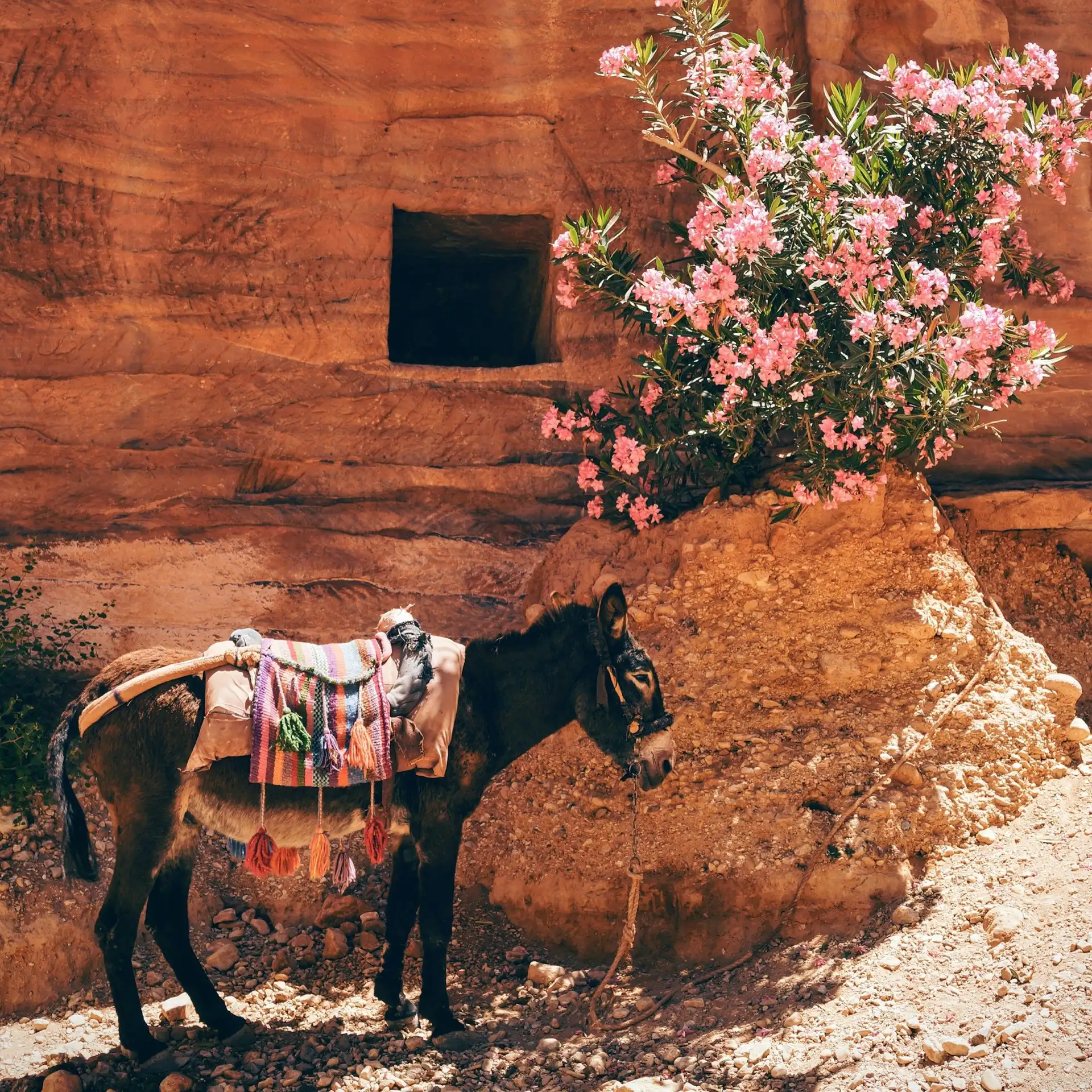 Travel guide Jordan