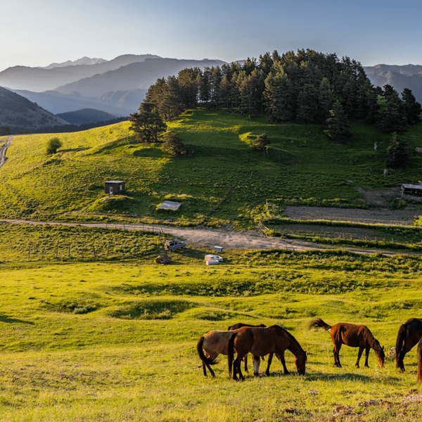 montagnes-caucasienne-Kazbeki