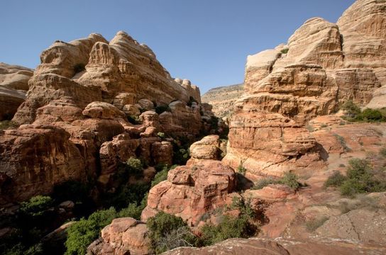 culture-nature-jordanie-day3