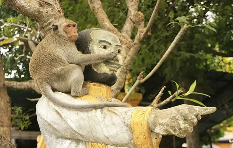 voyage-cambodge-trek-culture-paysage-j10