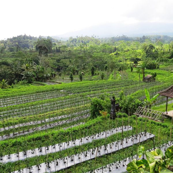 sidemen-nature-landscape