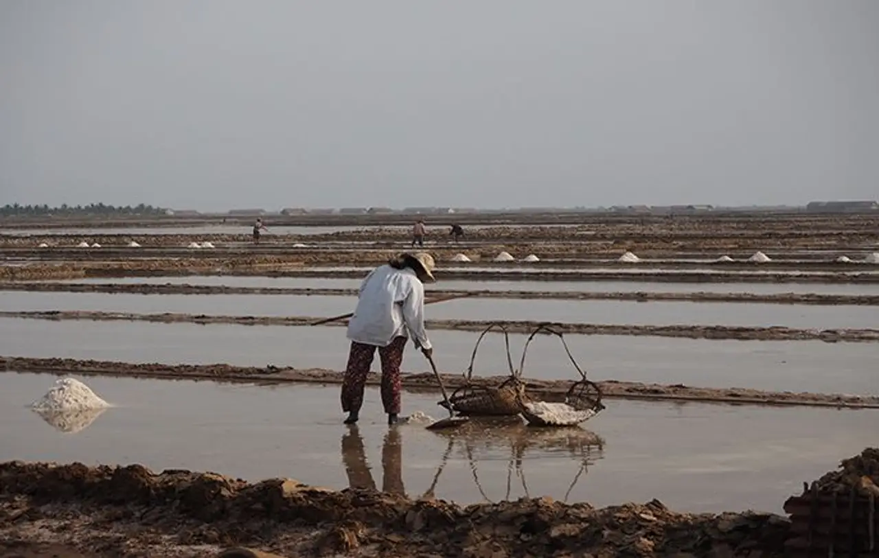 Un travailleur portant un chapeau conique traditionnel récoltant le sel de manière artisanale au milieu des grands bassins d'eau des marais salants de Kampot au Cambodge.