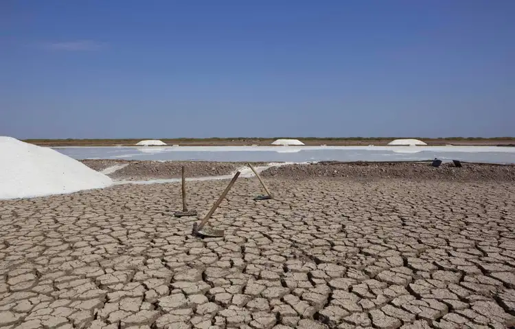 Kutch-India_salt