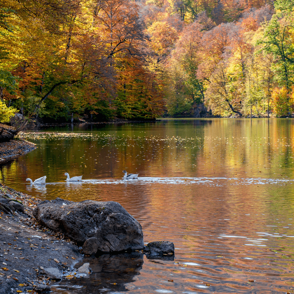 Dilidjan-Lac-de-Parz
