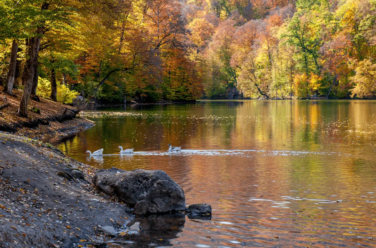 Dilidjan-Lac-de-Parz