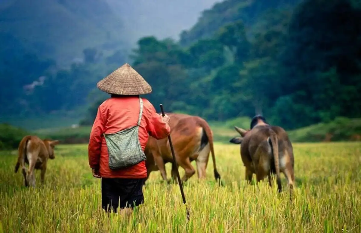 Cambodia - Le Cambodge en Liberte - Day 7