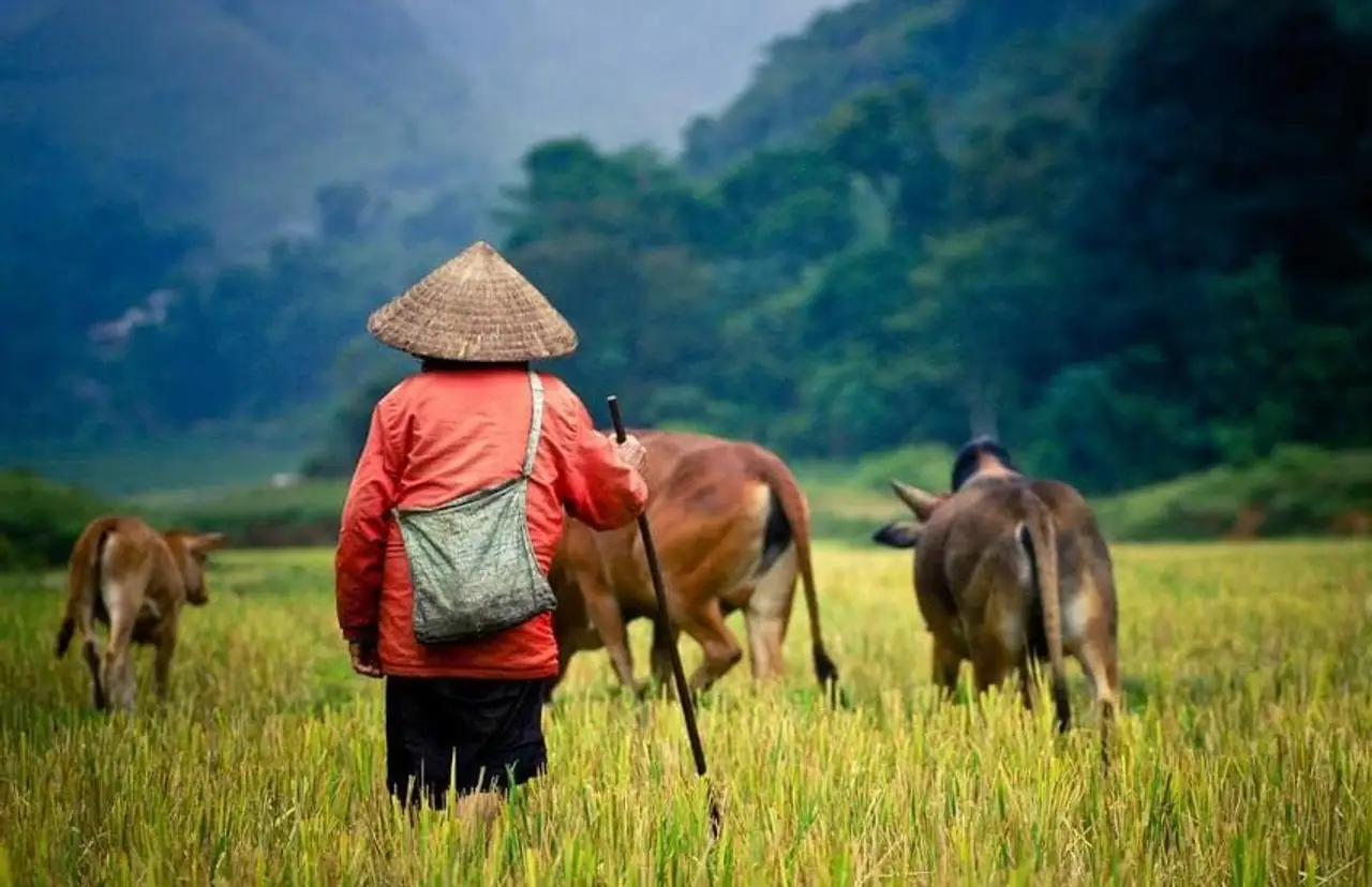 Cambodia - Le Cambodge en Liberte - Day 7