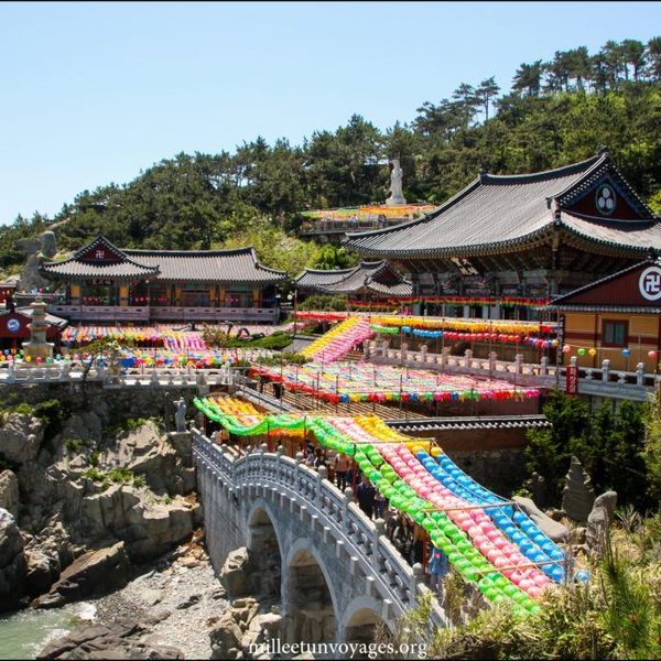 essentiels-south-korea-day7