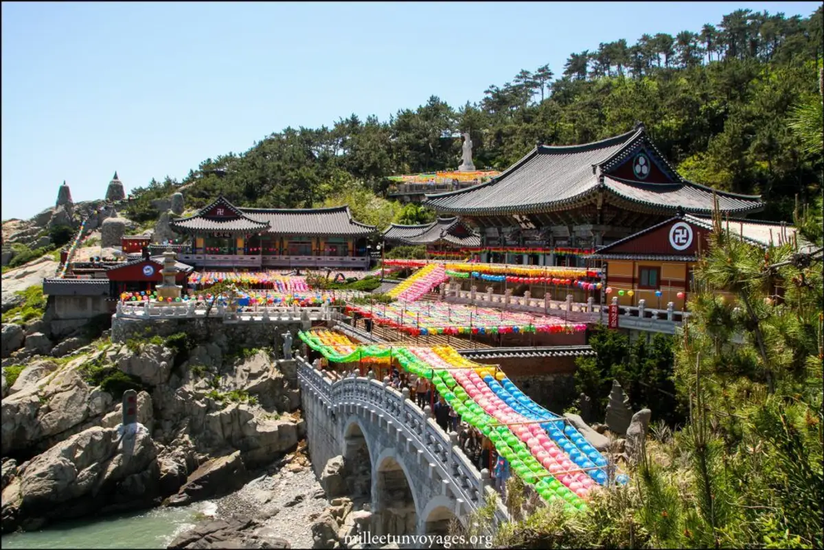 essentiels-south-korea-day7