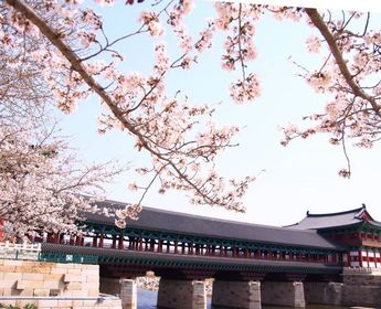 essentiels-south-korea-day4