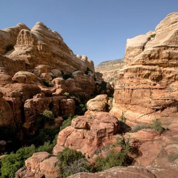 La Jordanie en douceur - Day 4