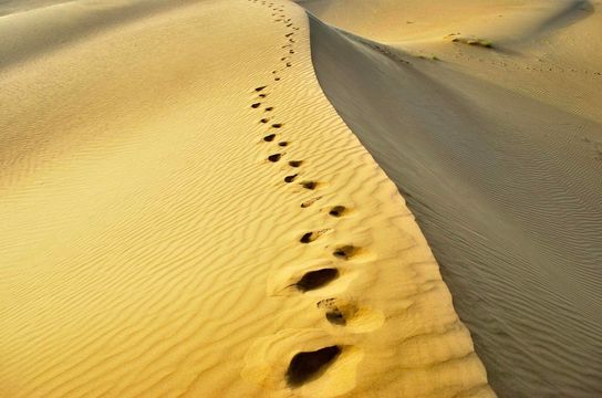 Rajasthan_Jaisalmer_Thar_Desert_Dunes