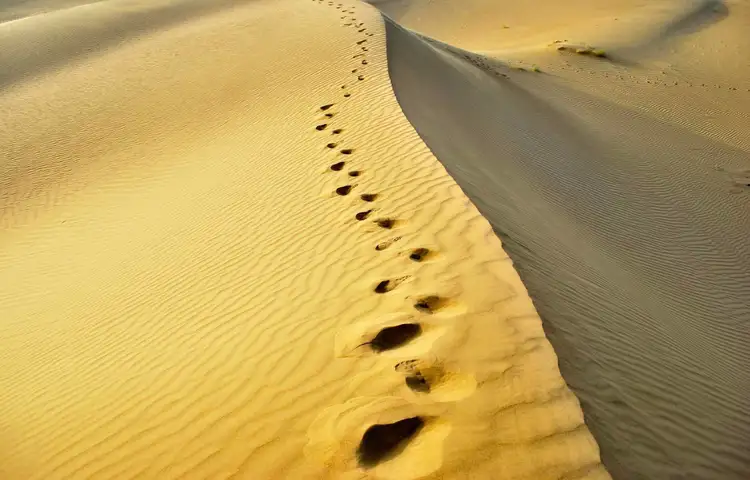 Rajasthan_Jaisalmer_Thar_Desert_Dunes