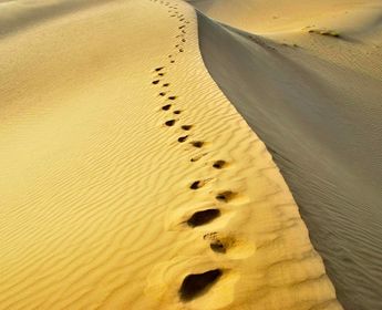 Rajasthan_Jaisalmer_Thar_Desert_Dunes