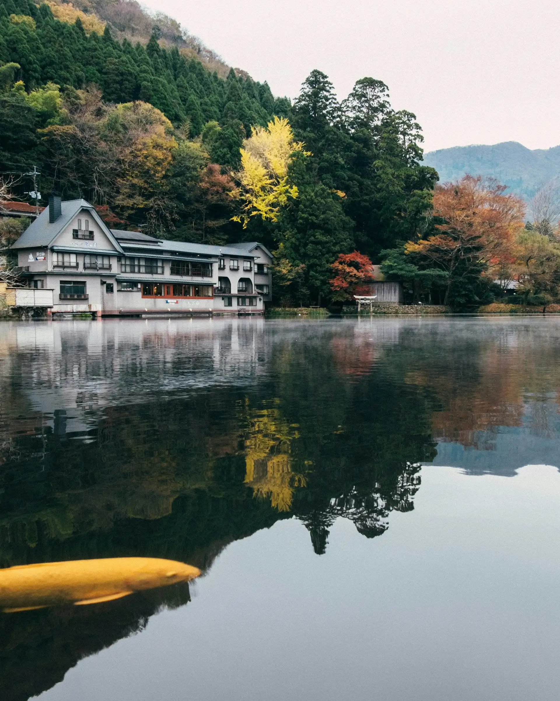 traditional japanese house reflecting on the calm waters of lake kinrin surrounded by autumn trees and mountains in yufuin kyushu
