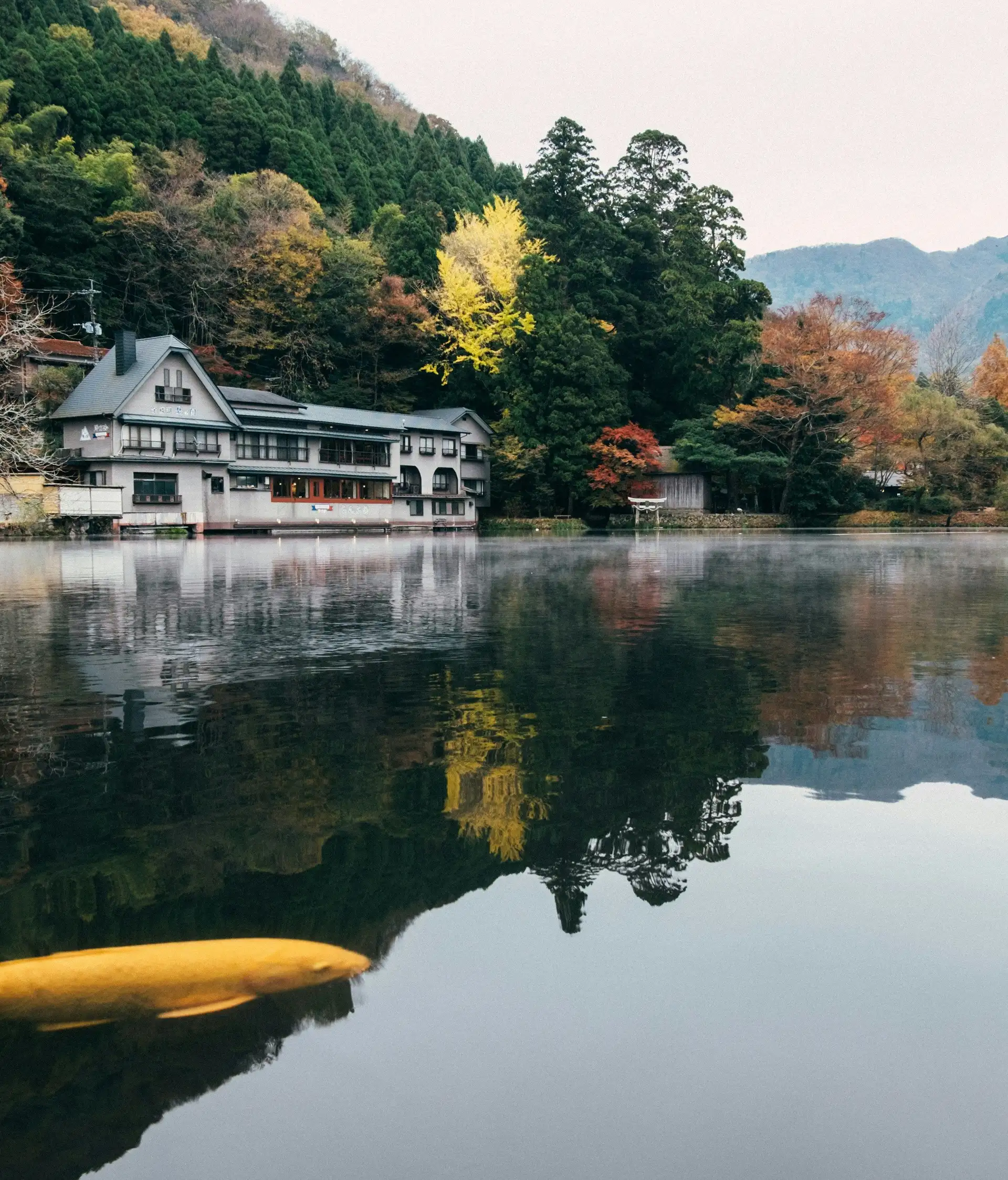 traditional japanese house reflecting on the calm waters of lake kinrin surrounded by autumn trees and mountains in yufuin kyushu
