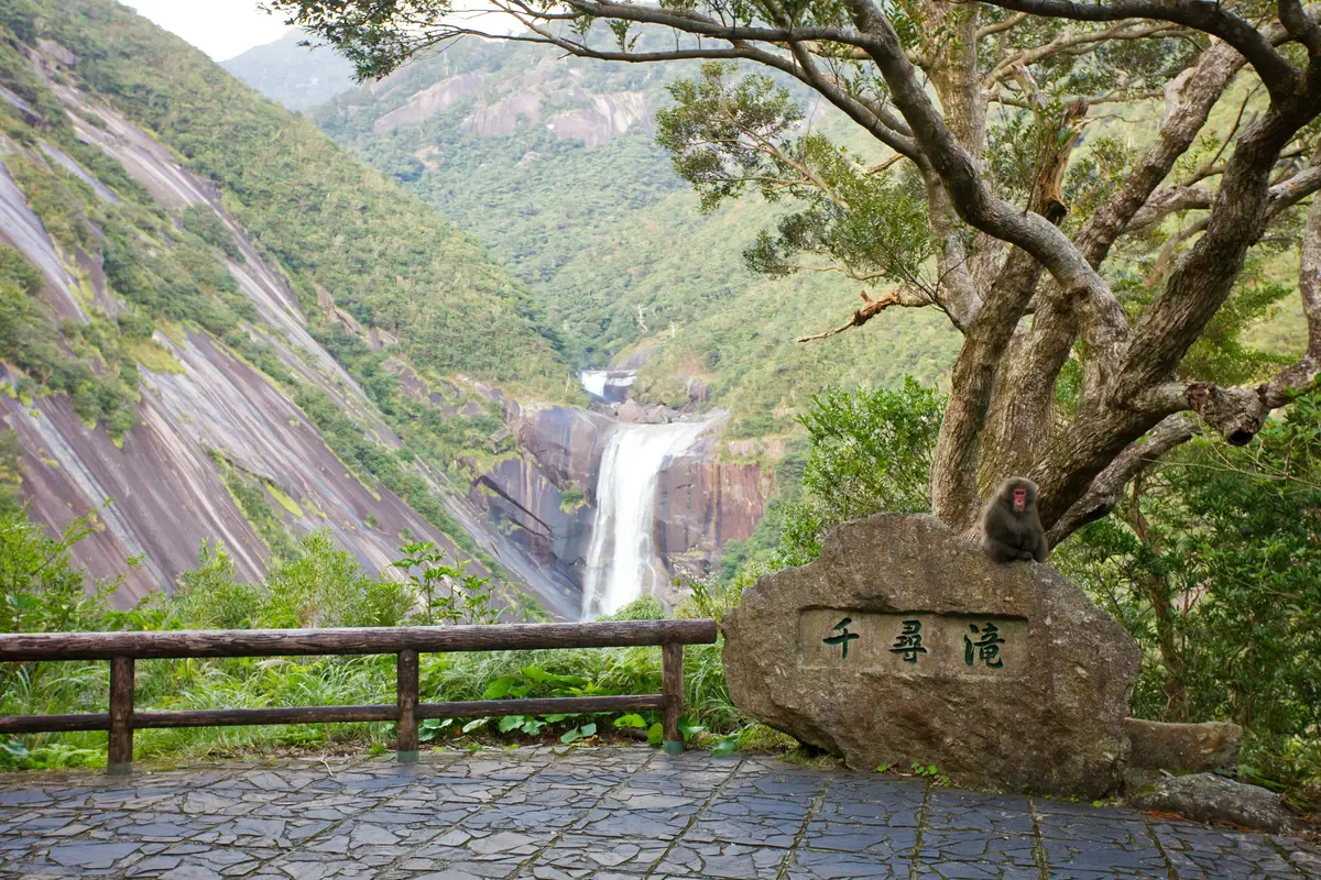 majestic waterfall cascading down a steep rocky cliff surrounded by lush green mountain forests under a blue sky