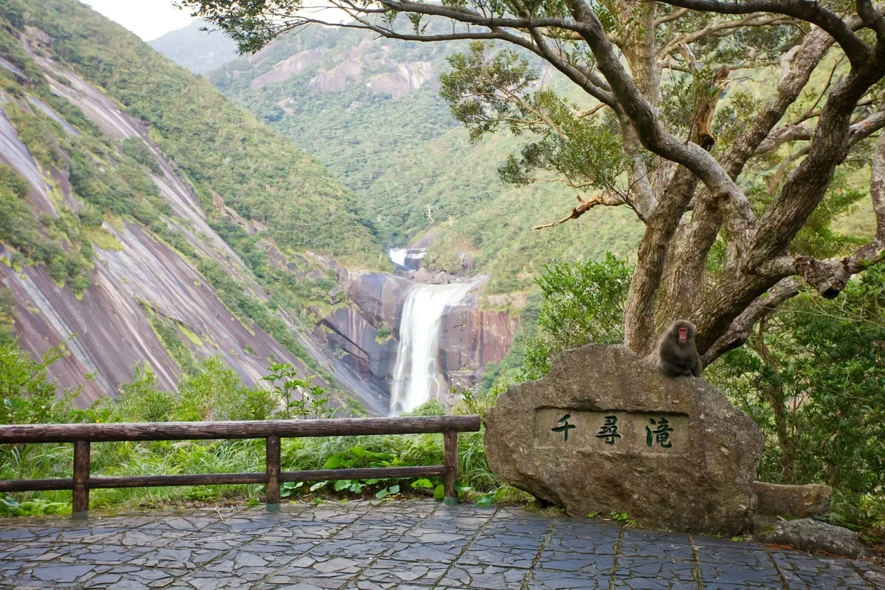 majestic waterfall cascading down a steep rocky cliff surrounded by lush green mountain forests under a blue sky