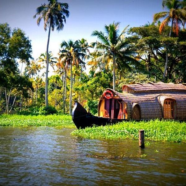 Palai-Ebene und endlose Reisfelder Besuch der Backwaters
