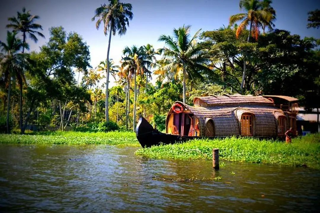 Palai-Ebene und endlose Reisfelder Besuch der Backwaters