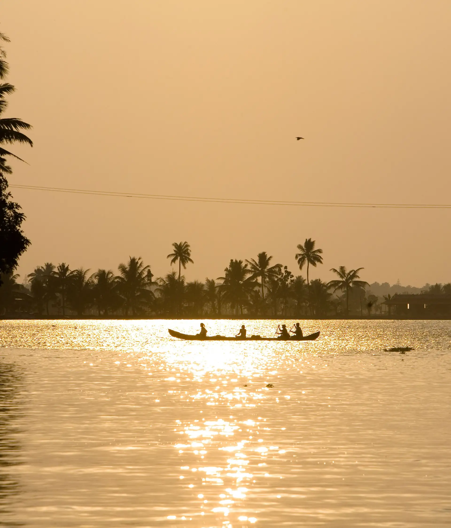 Voyage Inde du Sud : Coucher de soleil sur un bateau familial au Kerala