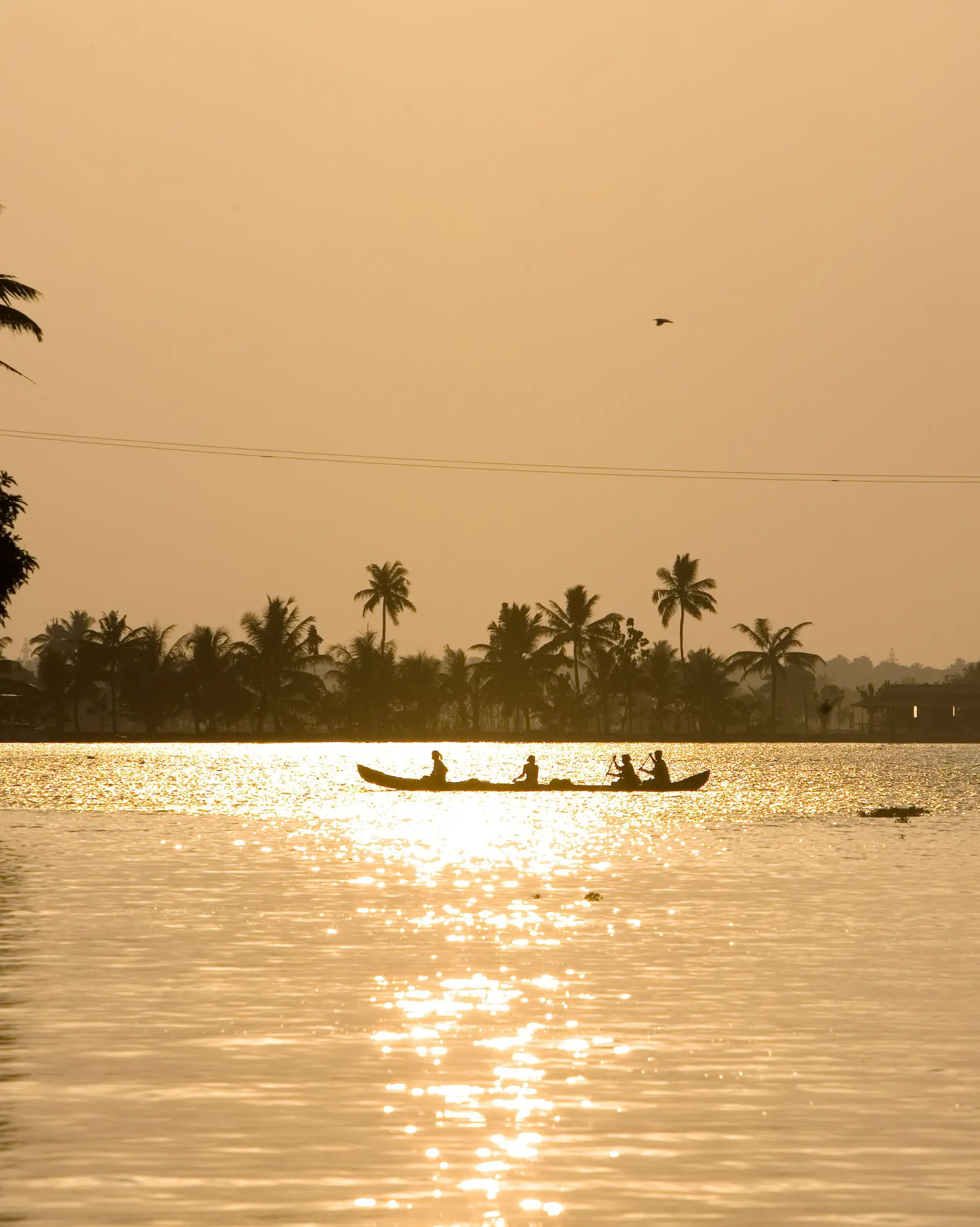 Voyage Inde du Sud : Coucher de soleil sur un bateau familial au Kerala