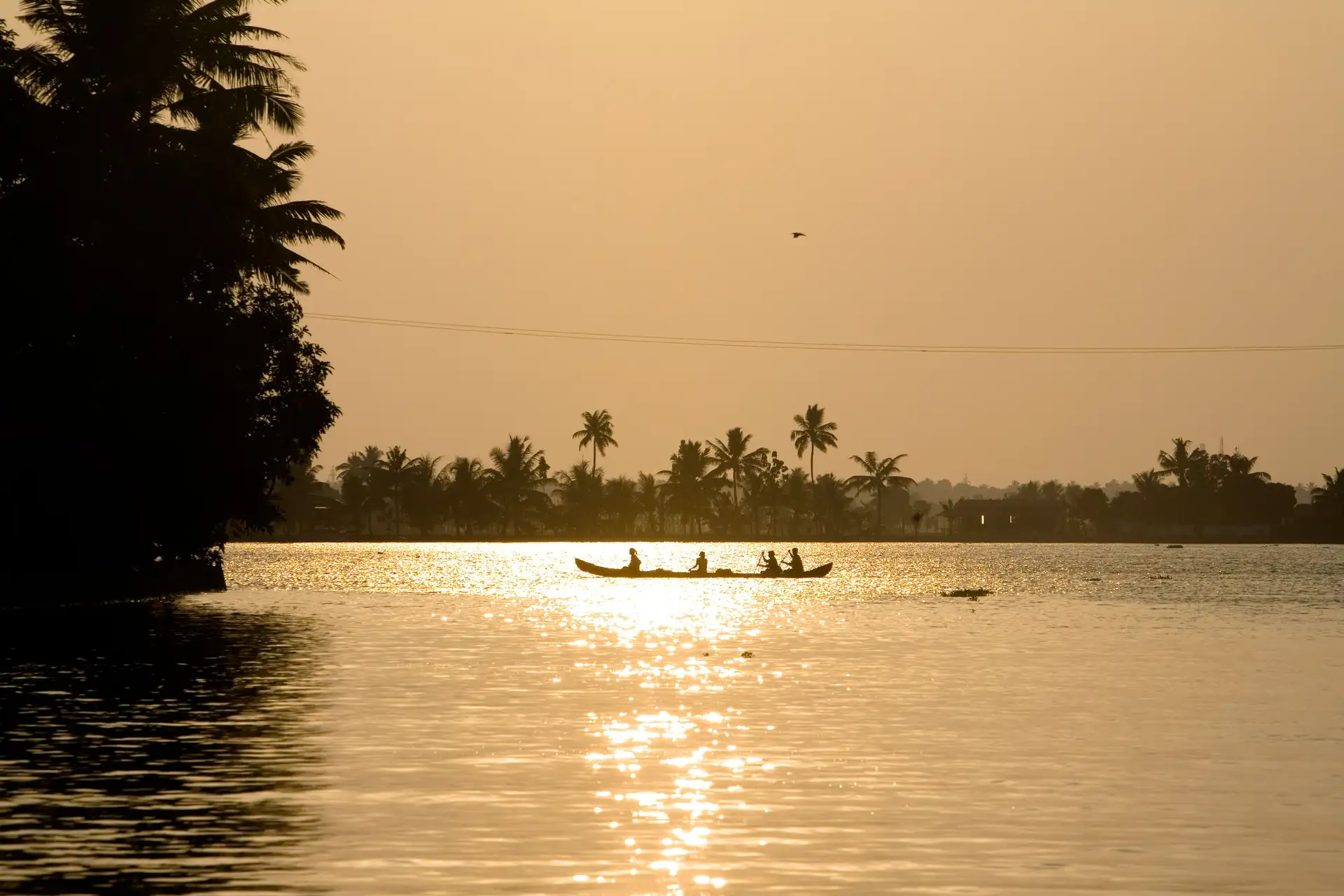 Voyage Inde du Sud : Coucher de soleil sur un bateau familial au Kerala
