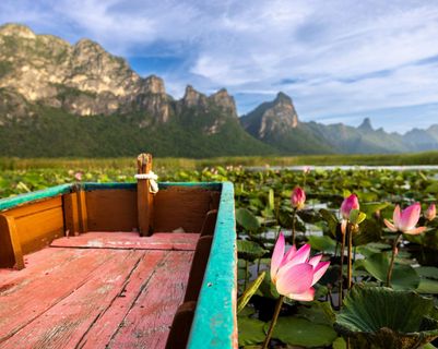 Voyage en Thaïlande - fleurs de lotus roses parsemant le marais Bueng Bua lors d'une excursion en bateau inoubliable