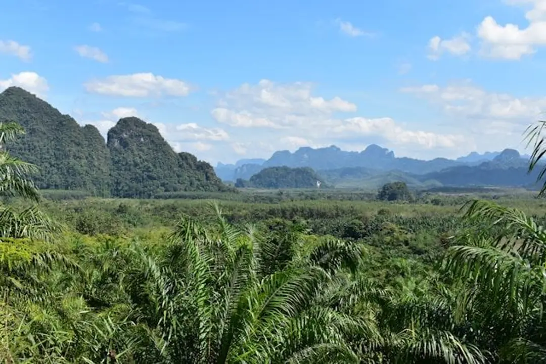 Khao Sok.jpg