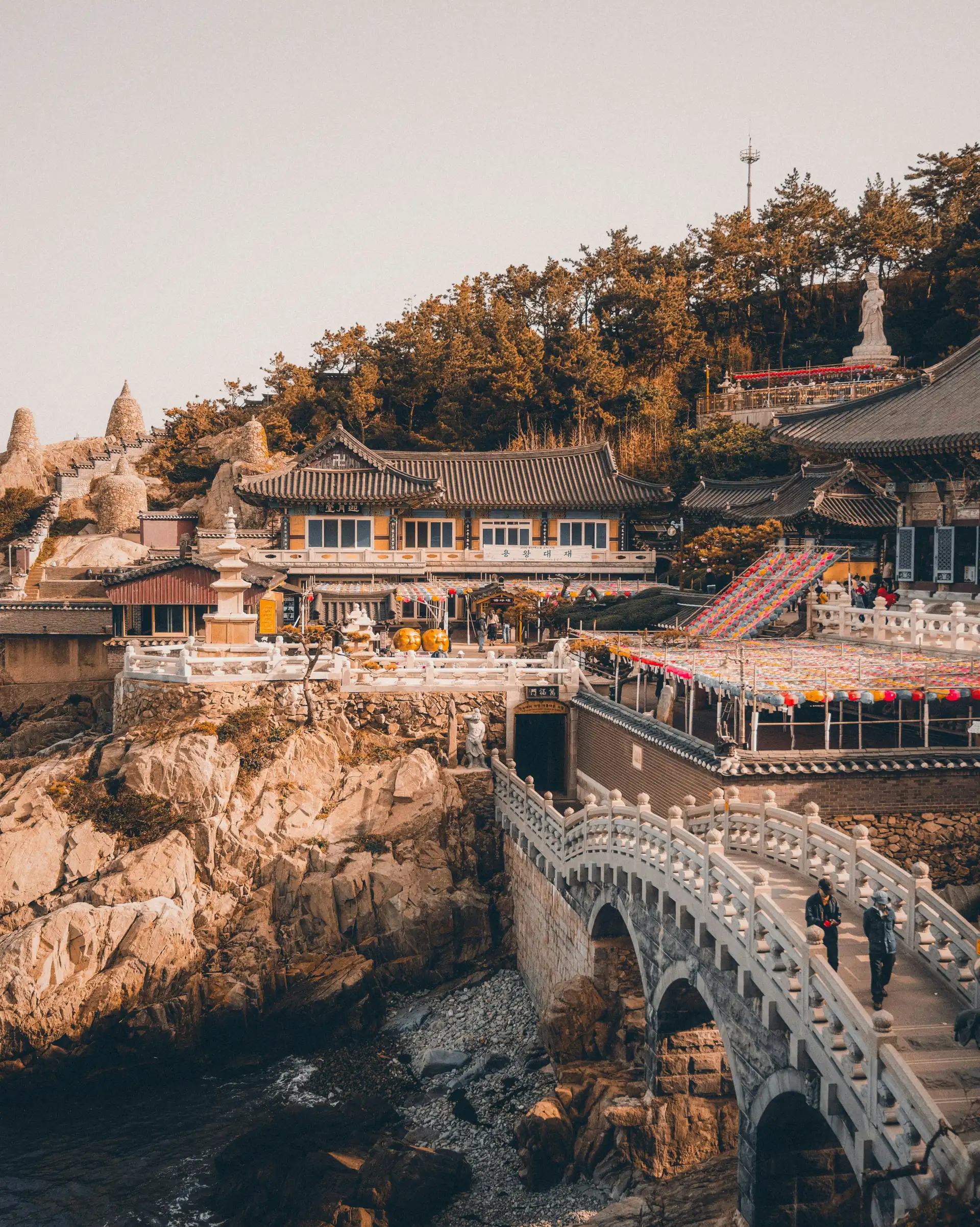 Vue panoramique d'un temple bouddhiste paisible situé en bord de mer à Busan, invitant à la découverte de la Corée du Sud.