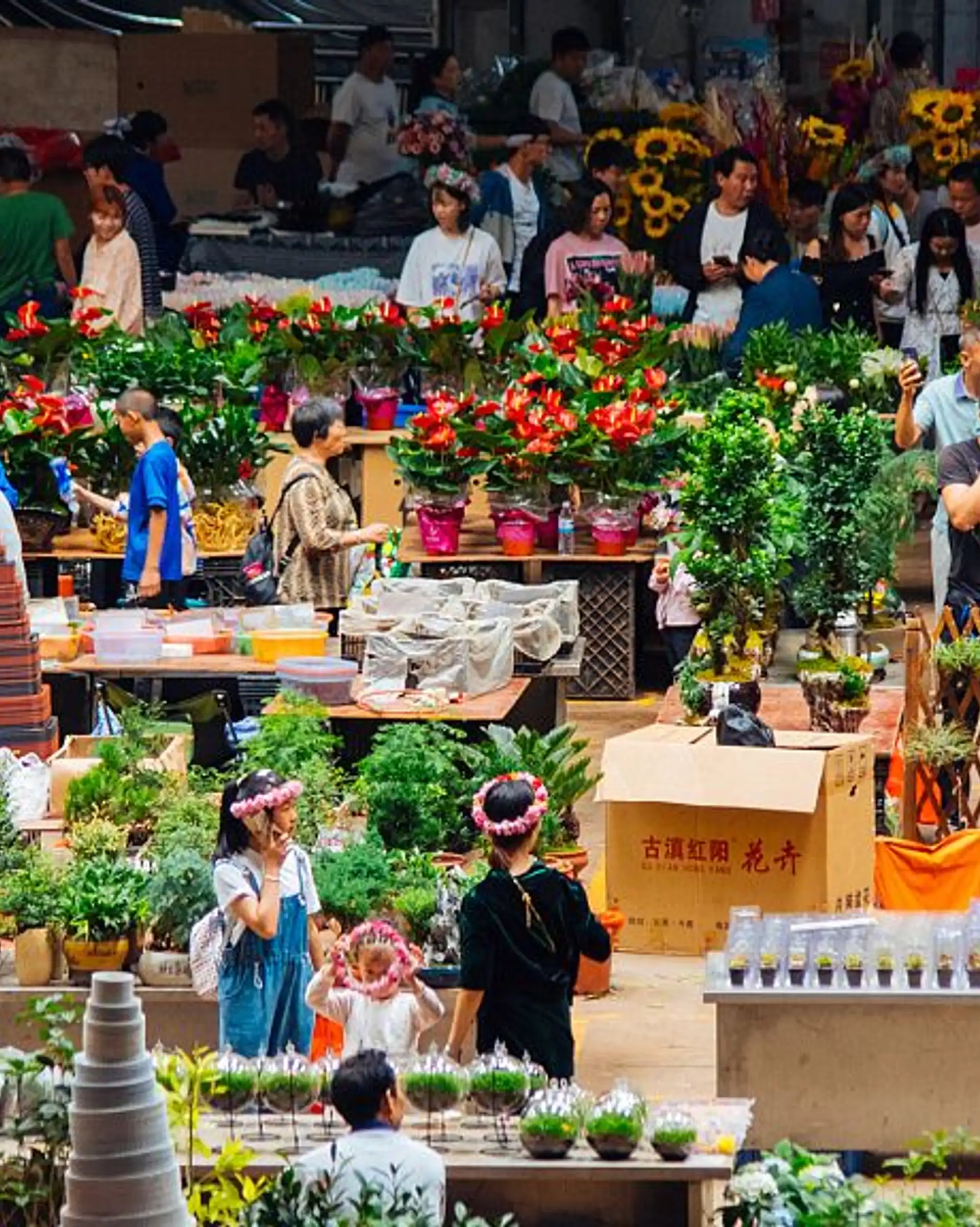Voyage en Chine - Marché aux fleurs