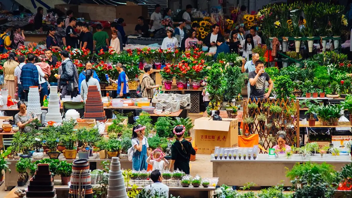 Voyage en Chine - Marché aux fleurs