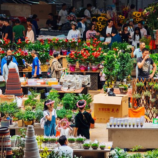 Voyage en Chine - Marché aux fleurs