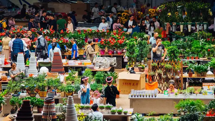 Voyage en Chine - Marché aux fleurs