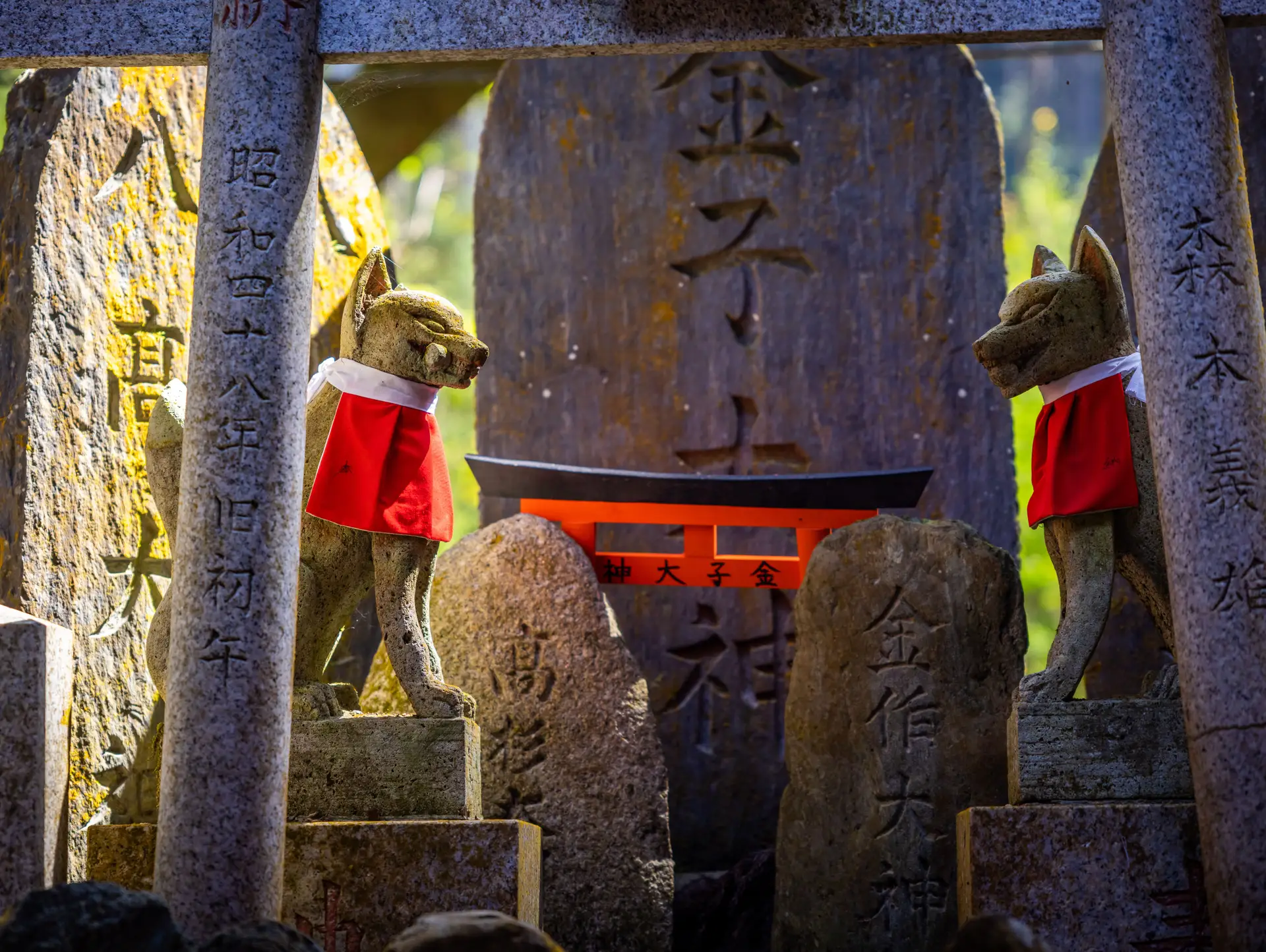 Que faire en amont pour enrichir votre voyage au Japon ?