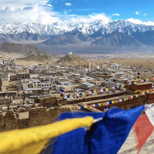 Voyage en Inde, Ladakh : Drapeaux de Leh