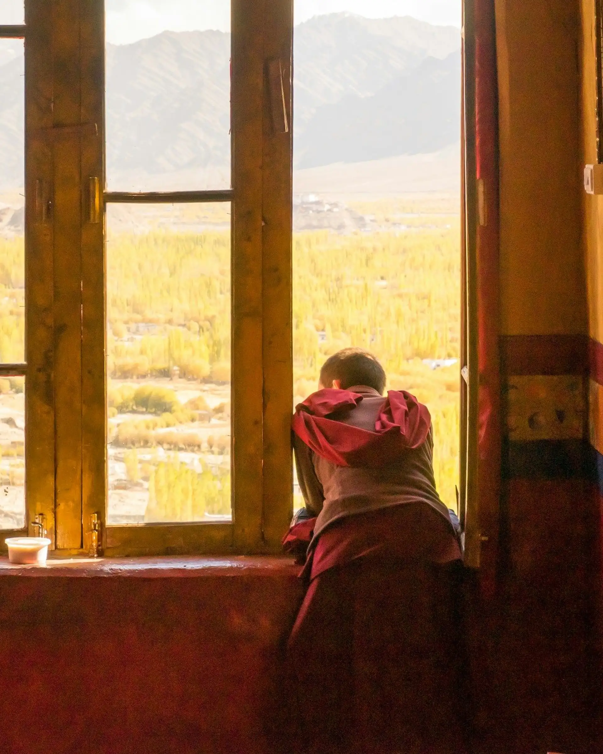 Voyage en Inde, Ladakh : Maison des Leh