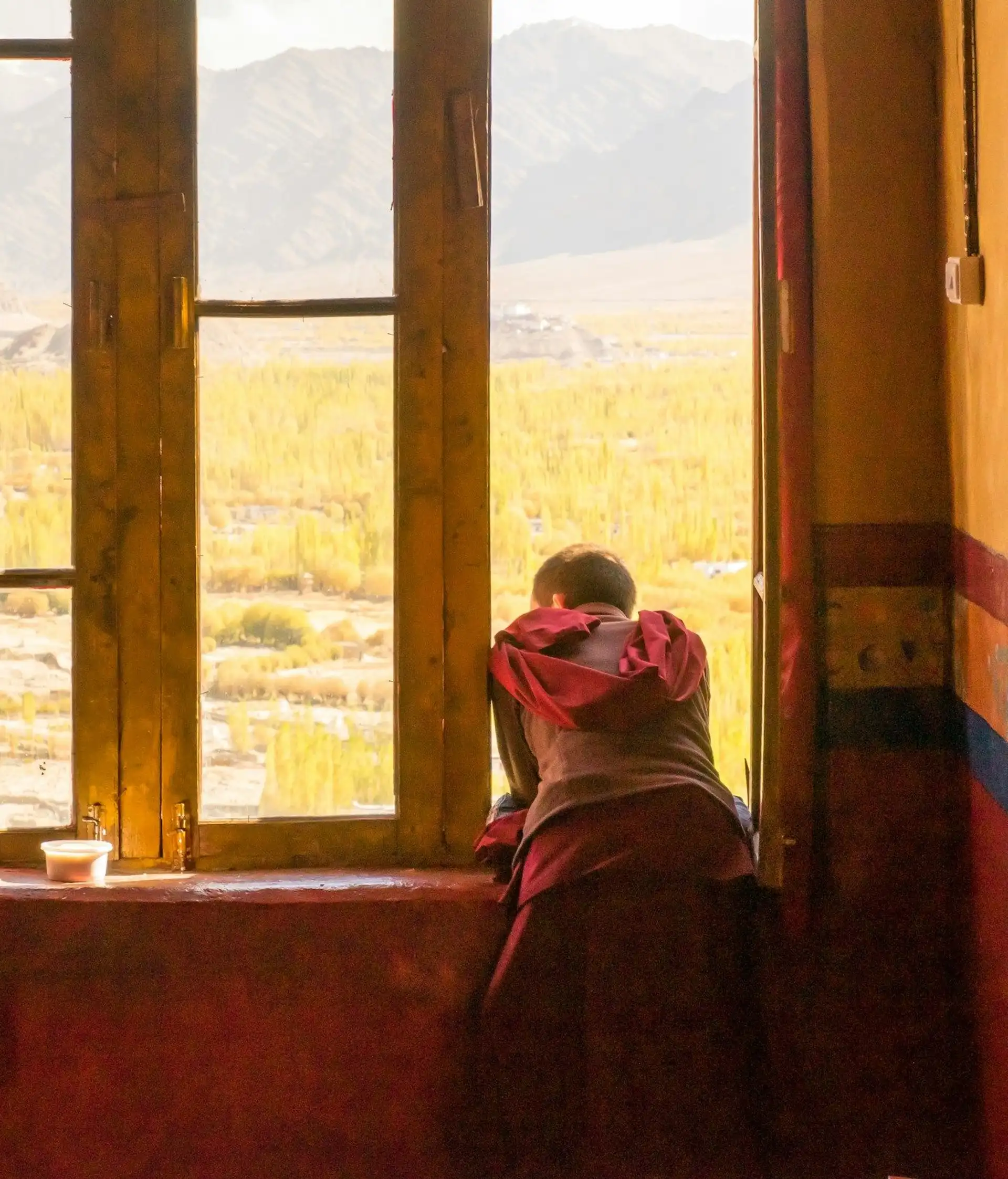 Voyage en Inde, Ladakh : Maison des Leh