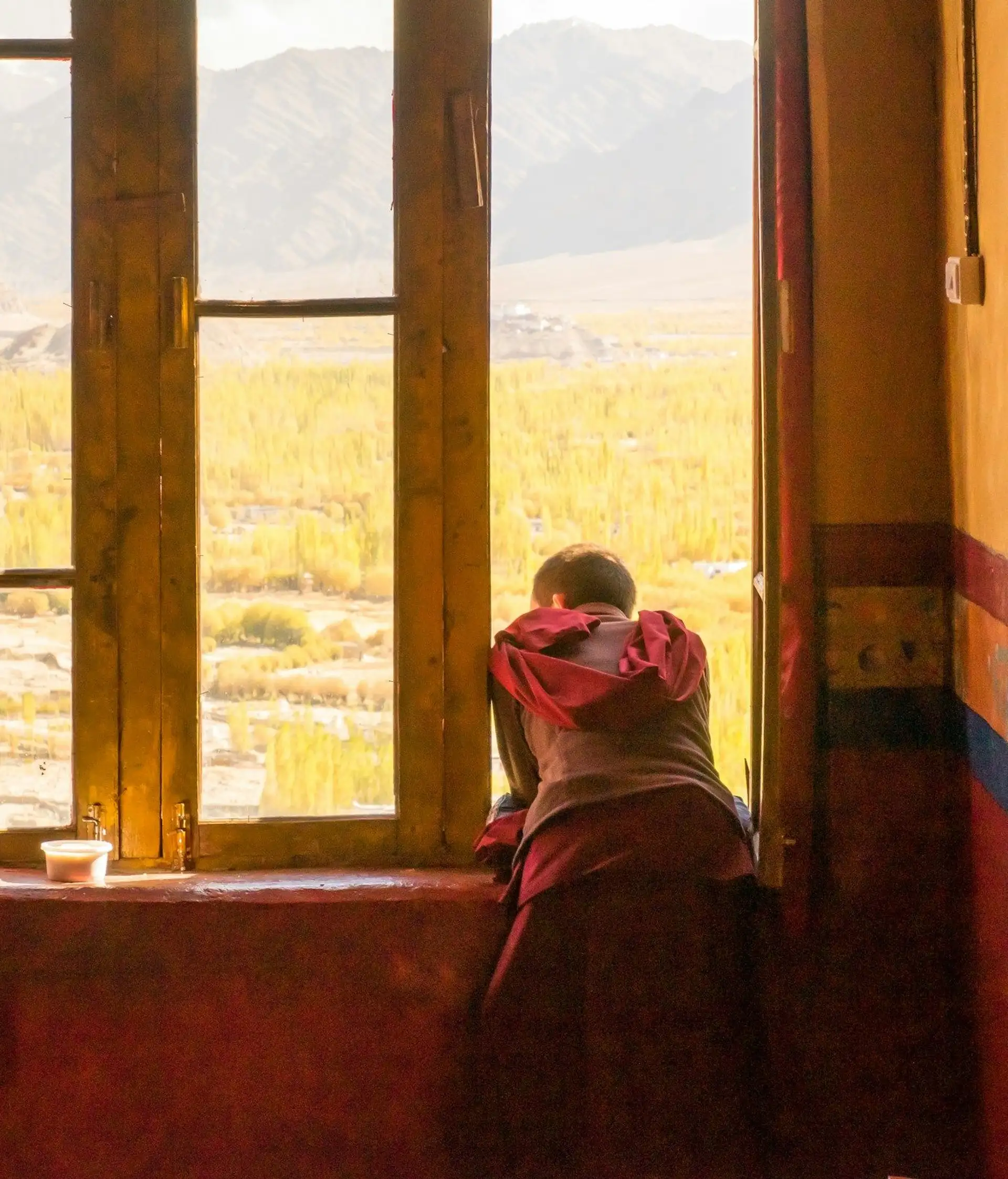 Voyage en Inde, Ladakh : Maison des Leh