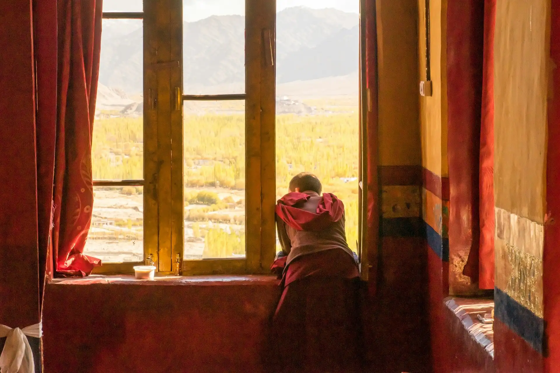 Voyage en Inde, Ladakh : Maison des Leh