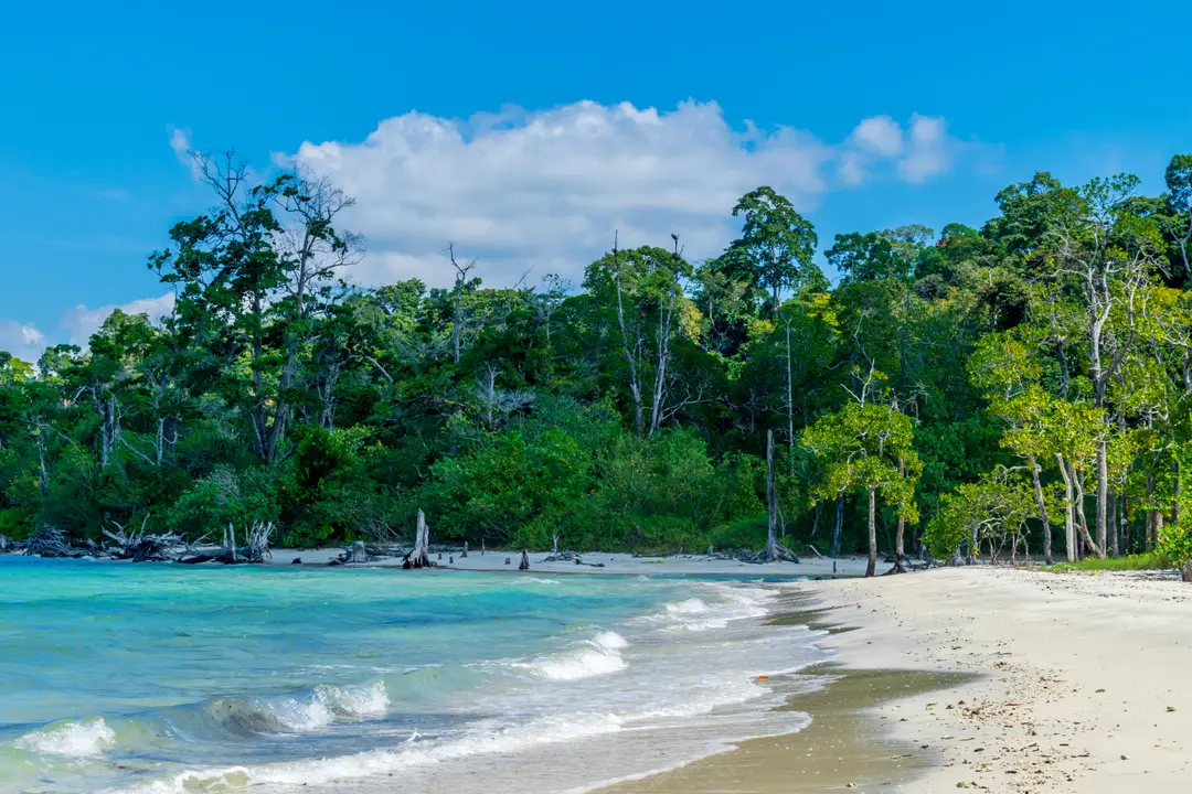 Plages de Goa