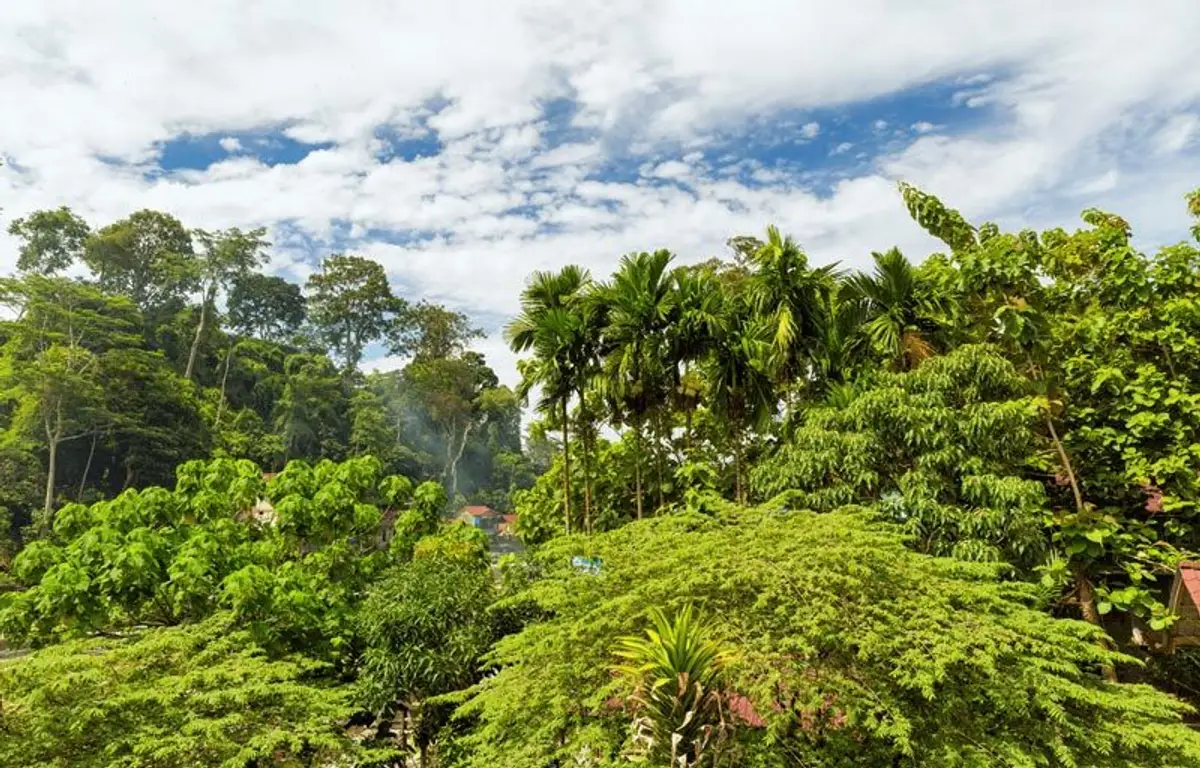 Besuch des Leuser Nationalpark in Sumatra 