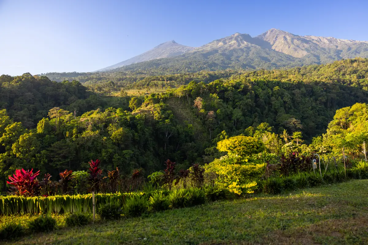 Un paysage de nature luxuriante, des colines et en fonds le volcan Rinjani.