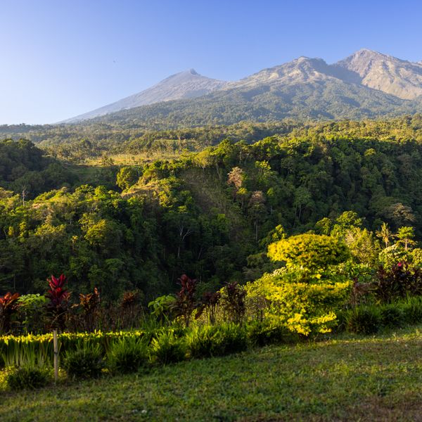 Un paysage de nature luxuriante, des colines et en fonds le volcan Rinjani.