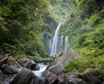 Cascade de Tetebatu, eau claire et nature luxuriante au cœur de Lombok.