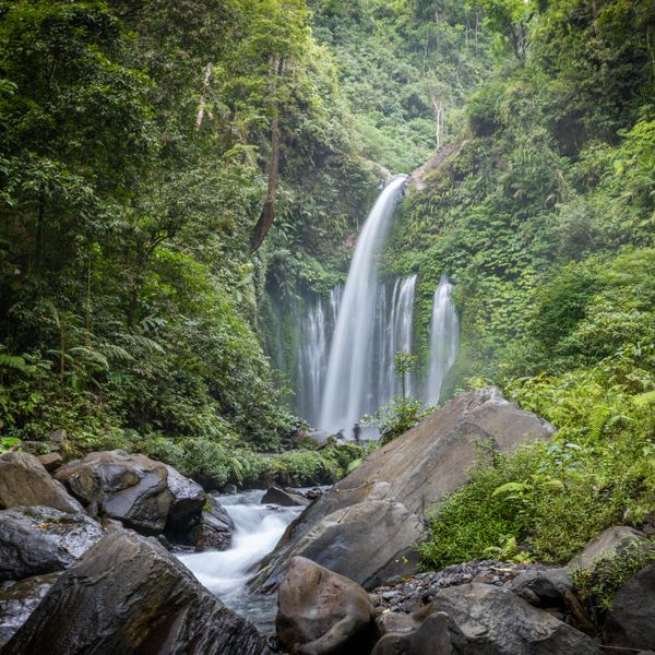 Cascade de Tetebatu, eau claire et nature luxuriante au cœur de Lombok.