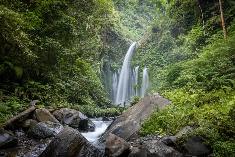 Cascade de Tetebatu, eau claire et nature luxuriante au cœur de Lombok.