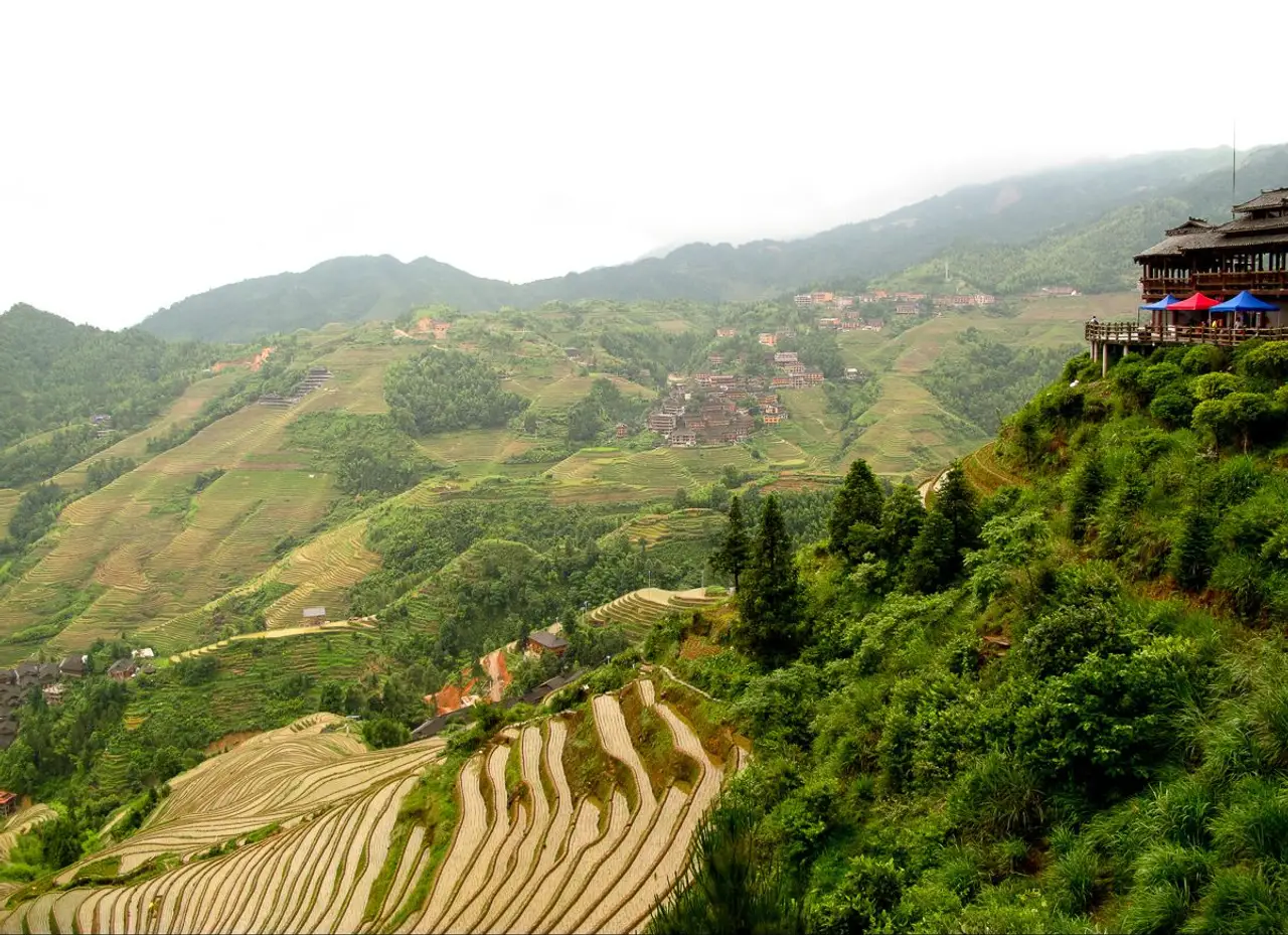 Voyage en Asie : Rizières en terrasses de Longji