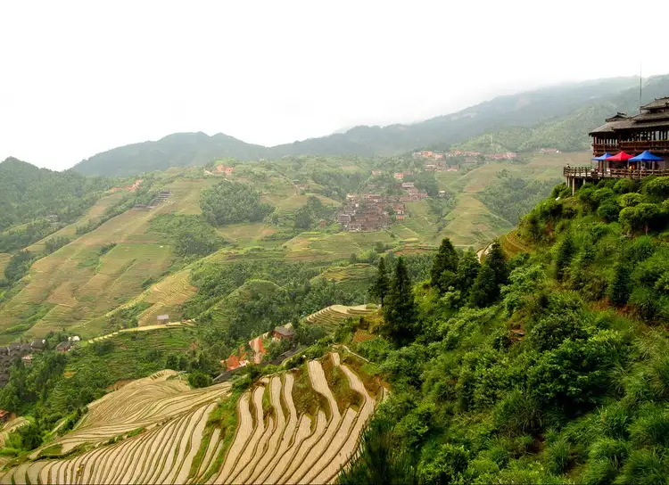 Voyage en Asie : Rizières en terrasses de Longji