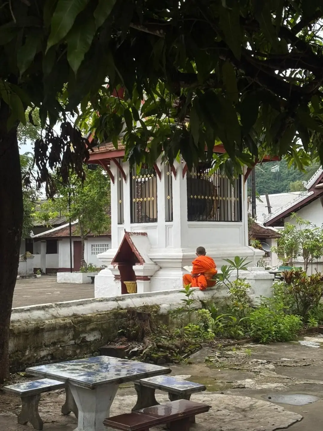 Un jeune moine bouddhiste en robe orange adossé à un muret blanc étudie devant un petit édifice religieux traditionnel à l'ombre des arbres.